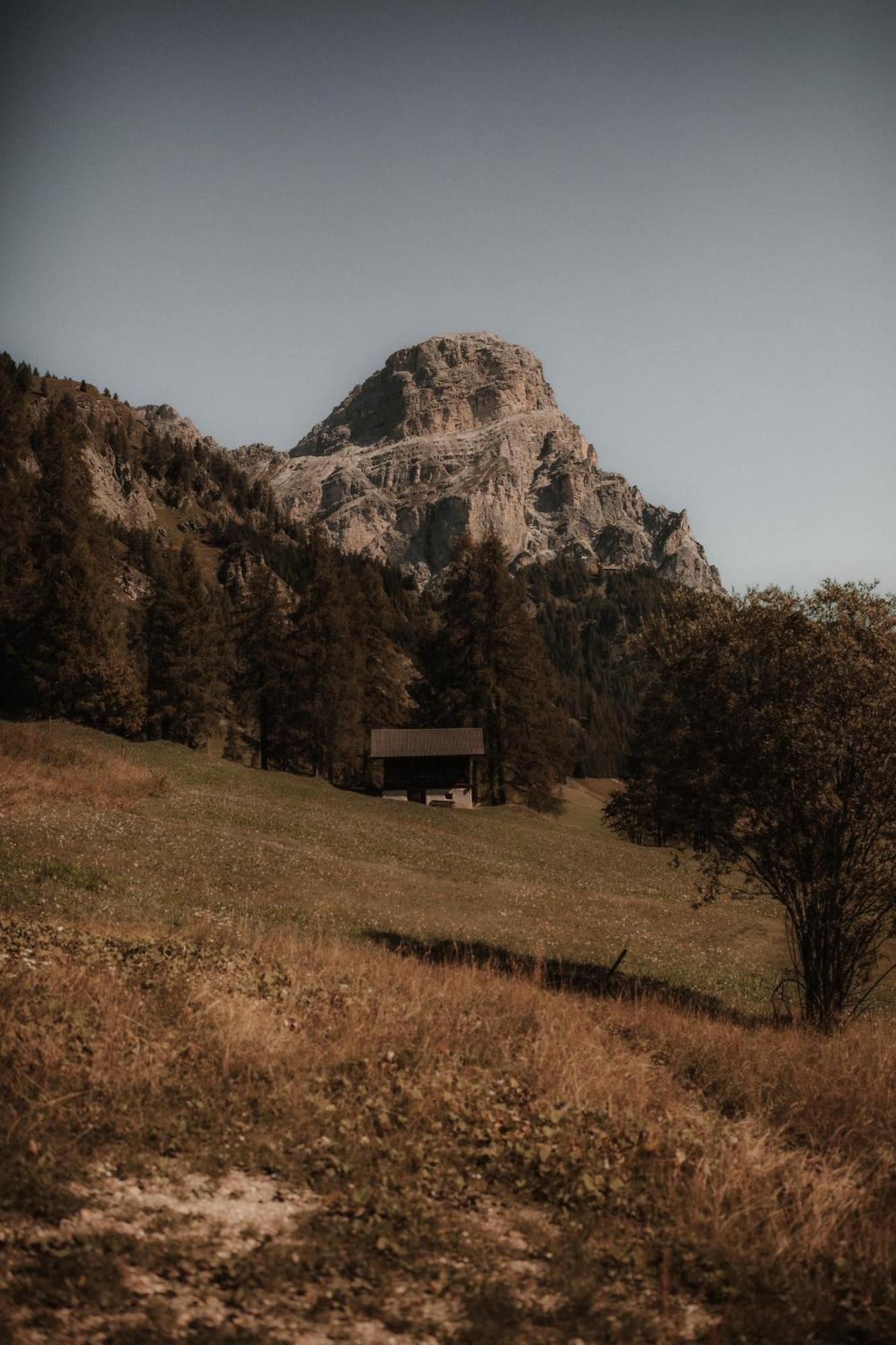 Chalet Roenn Кольфоско Екстер'єр фото